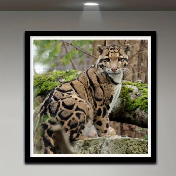 Diamond Painting Nebelparder Grosskatze